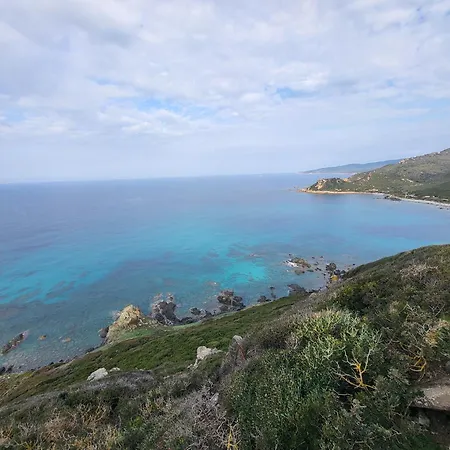 T2 Standing * Аяччо